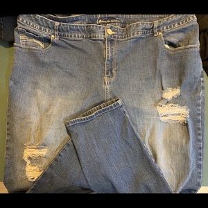 Lane Bryant plus size jeans 28